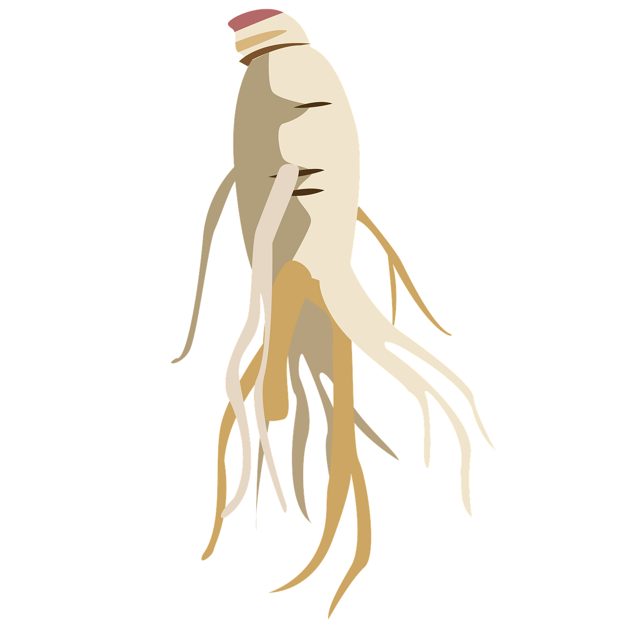 d&eacute;couvrez le r&ocirc;le et les actions des membres de l'opposition municipale dans la gouvernance locale et leur impact sur les d&eacute;cisions communales.