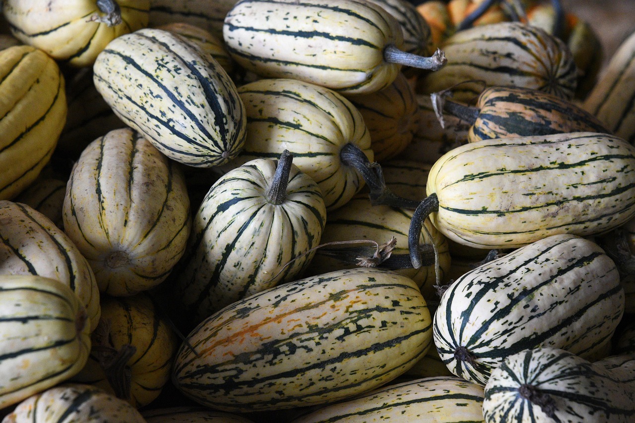 découvrez les pratiques et avantages de l'agriculture biologique pour une production respectueuse de l'environnement et de la santé.