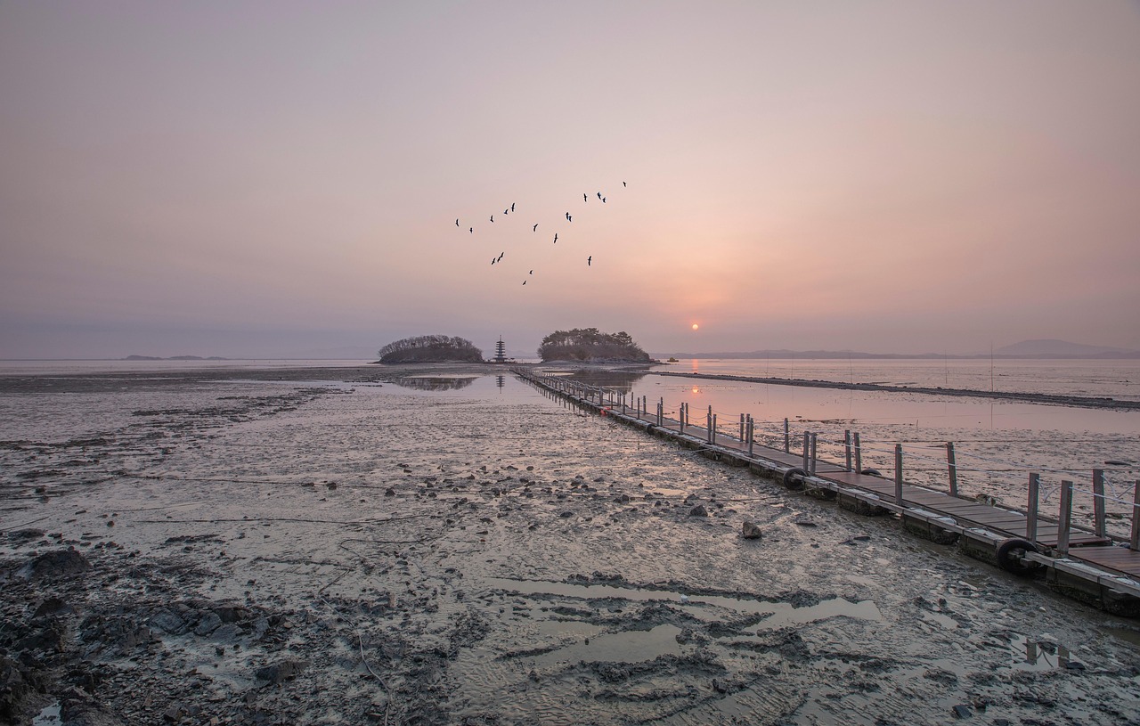 d&eacute;couvrez les risques li&eacute;s &agrave; l'arrosage excessif des plantes, comment l'&eacute;viter et les meilleures pratiques pour un jardin sain et &eacute;quilibr&eacute;.