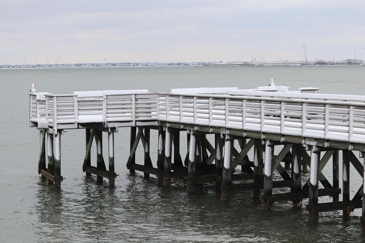 d&eacute;couvrez les cons&eacute;quences de l'exc&egrave;s d'arrosage sur vos plantes et apprenez &agrave; &eacute;viter l'overwatering pour garantir leur sant&eacute; et leur croissance optimale.