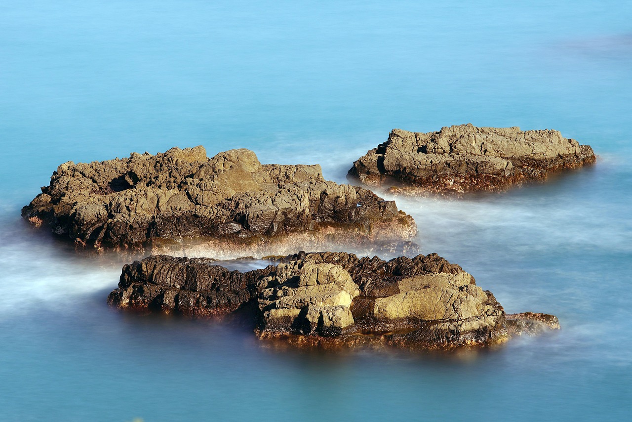 d&eacute;couvrez tout ce qu'il faut savoir sur les actionnaires, leurs droits, responsabilit&eacute;s et leur r&ocirc;le cl&eacute; dans la gouvernance d'entreprise.
