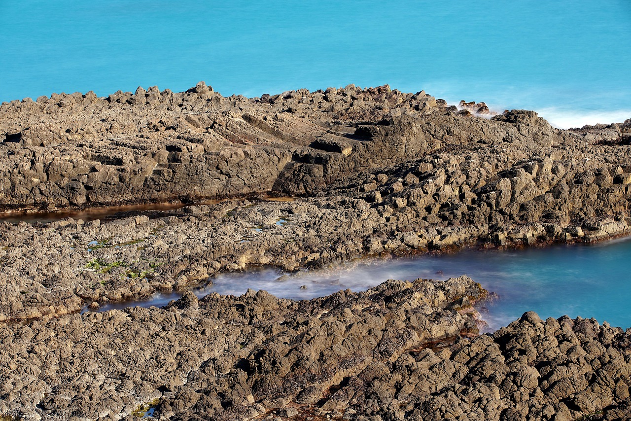 d&eacute;couvrez tout ce qu'il faut savoir sur les actionnaires, leurs droits, r&ocirc;les et responsabilit&eacute;s dans la gestion d'une entreprise.