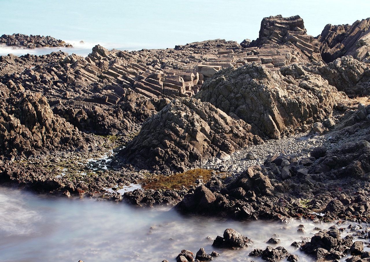 d&eacute;couvrez tout ce que vous devez savoir sur les actionnaires : leurs droits, r&ocirc;les et responsabilit&eacute;s au sein d'une entreprise.