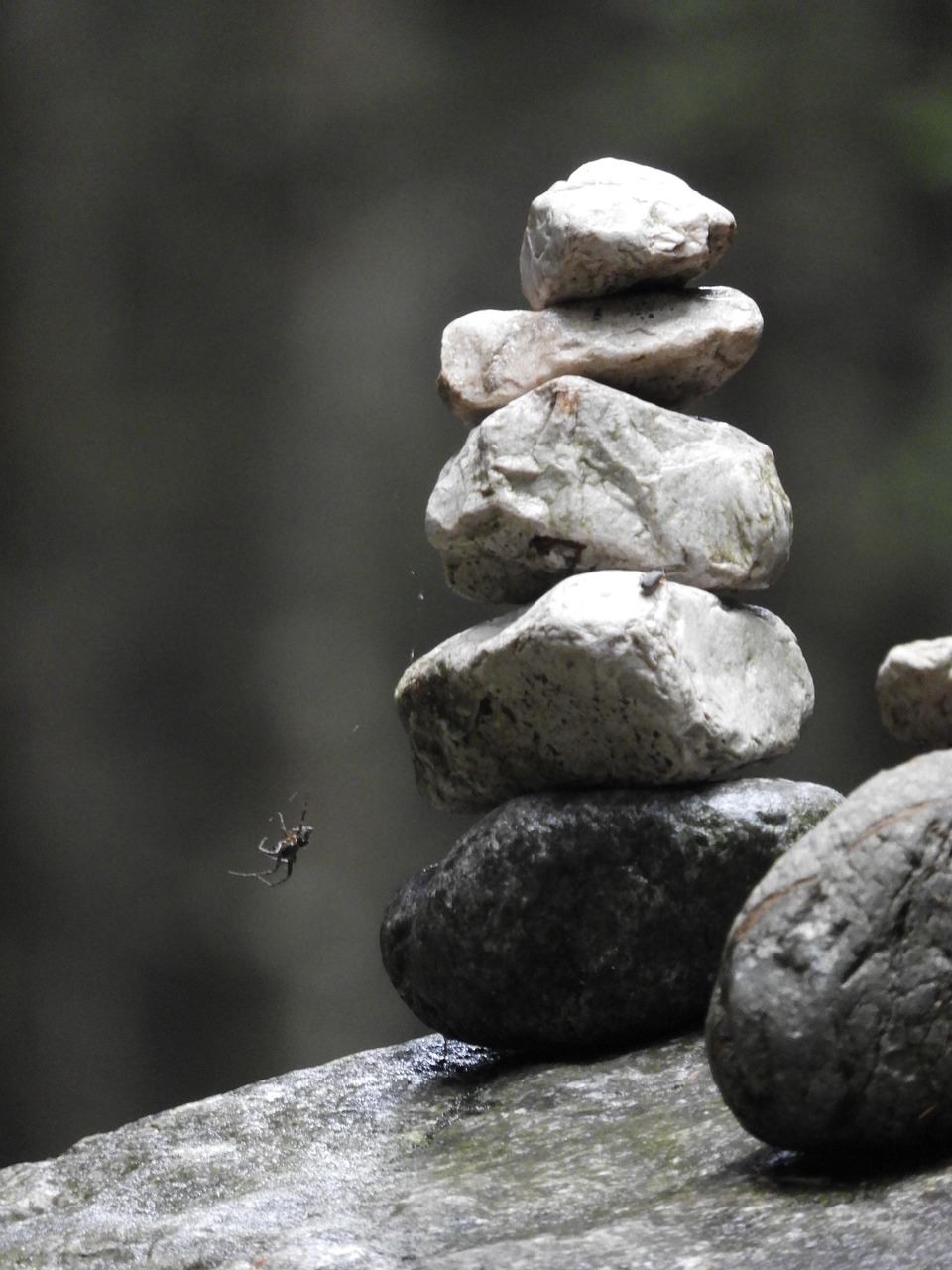 d&eacute;couvrez l'importance de la stabilit&eacute; dans divers domaines, de la finance &agrave; la technologie, pour assurer un &eacute;quilibre durable et une croissance s&eacute;curis&eacute;e.