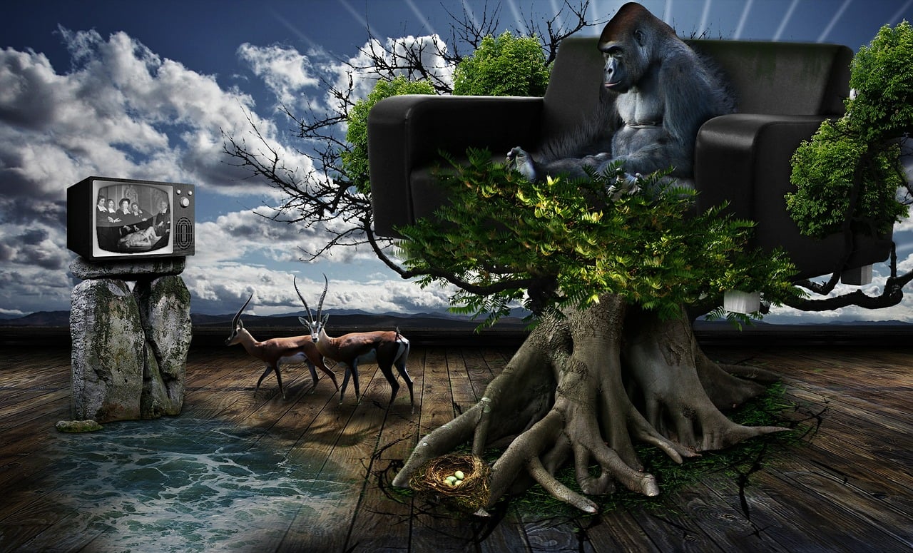 d&eacute;couvrez tout sur la consommation d'eau, ses enjeux, les bonnes pratiques pour &eacute;conomiser et pr&eacute;server cette ressource vitale.