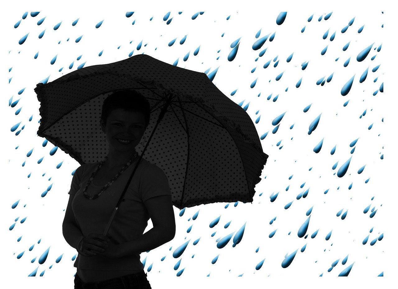 pr&eacute;visions m&eacute;t&eacute;o pr&eacute;cises et &agrave; jour pour planifier vos journ&eacute;es en toute s&eacute;r&eacute;nit&eacute;.