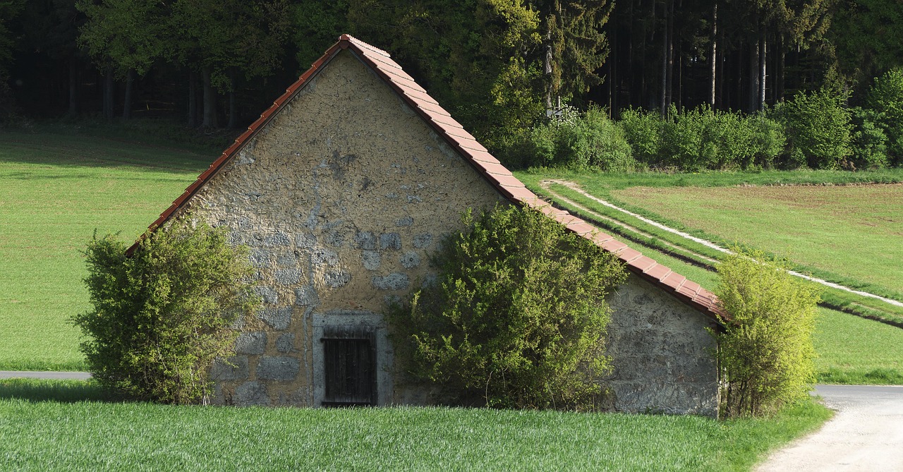 tout savoir sur les haies agricoles : types, avantages et conseils d'entretien pour am&eacute;liorer la biodiversit&eacute; et prot&eacute;ger vos cultures.