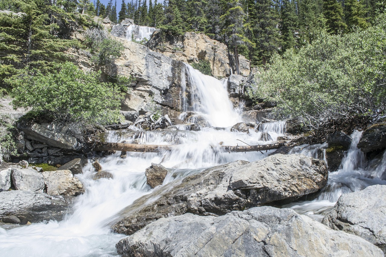 d&eacute;couvrez les d&eacute;fis majeurs li&eacute;s au changement climatique et explorez les solutions pour un avenir durable.