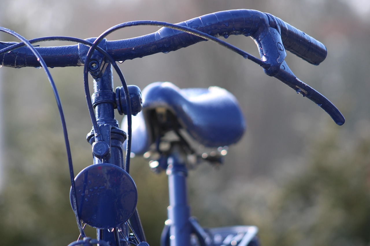 découvrez le concept de climate cycling, une approche innovante pour comprendre et agir face aux changements climatiques grâce à des cycles durables et adaptés.