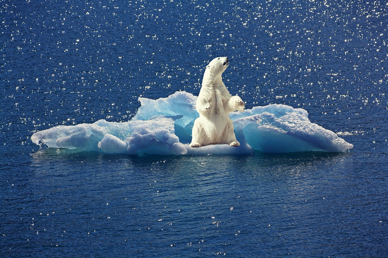 découvrez les projections climatiques futures basées sur les dernières données scientifiques pour mieux comprendre l'évolution du climat mondial.