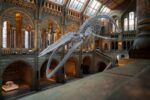 d&eacute;couvrez l'exposition climate tour, une exploration immersive des enjeux climatiques et des solutions durables pour un avenir meilleur.
