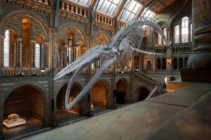 d&eacute;couvrez l'exposition climate tour, une exploration immersive des enjeux climatiques et des solutions durables pour un avenir meilleur.