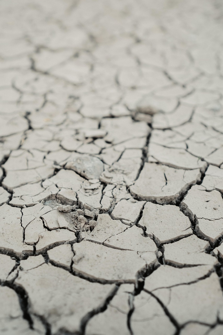 d&eacute;couvrez les causes, impacts et solutions face &agrave; la s&eacute;cheresse, un ph&eacute;nom&egrave;ne climatique aux cons&eacute;quences majeures sur l'environnement et l'agriculture.