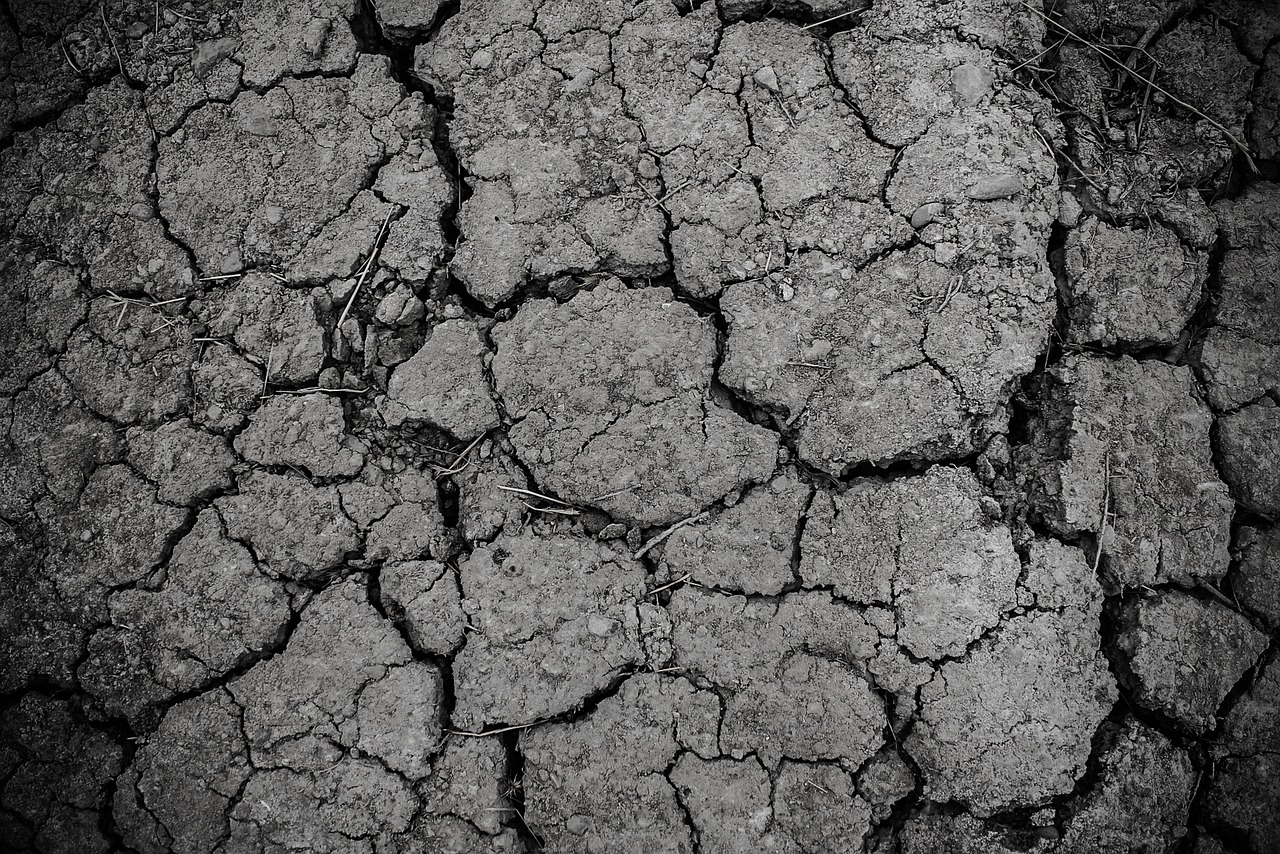d&eacute;couvrez les causes, les impacts et les solutions face &agrave; la s&eacute;cheresse, un ph&eacute;nom&egrave;ne climatique majeur affectant l'environnement et l'agriculture.