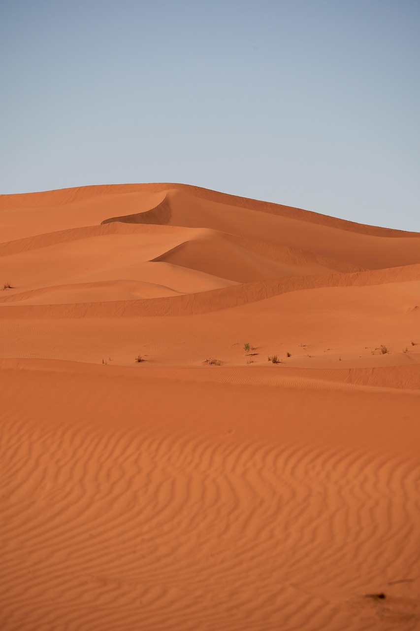 d&eacute;couvrez les causes, les cons&eacute;quences et les solutions face &agrave; la s&eacute;cheresse, un ph&eacute;nom&egrave;ne climatique impactant l'environnement et l'agriculture.