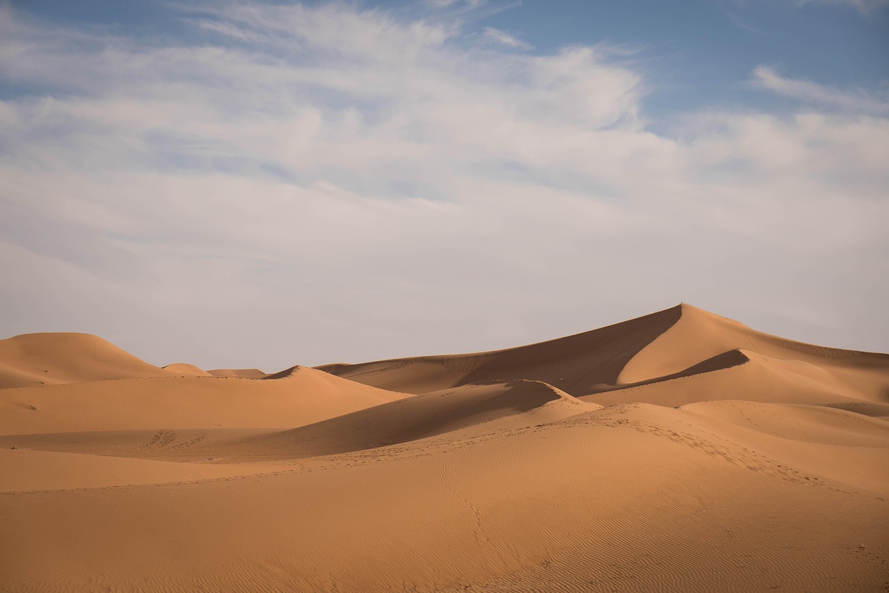 d&eacute;couvrez les causes, les impacts et les solutions face &agrave; la s&eacute;cheresse, un ph&eacute;nom&egrave;ne climatique aux cons&eacute;quences majeures pour l'environnement et l'agriculture.