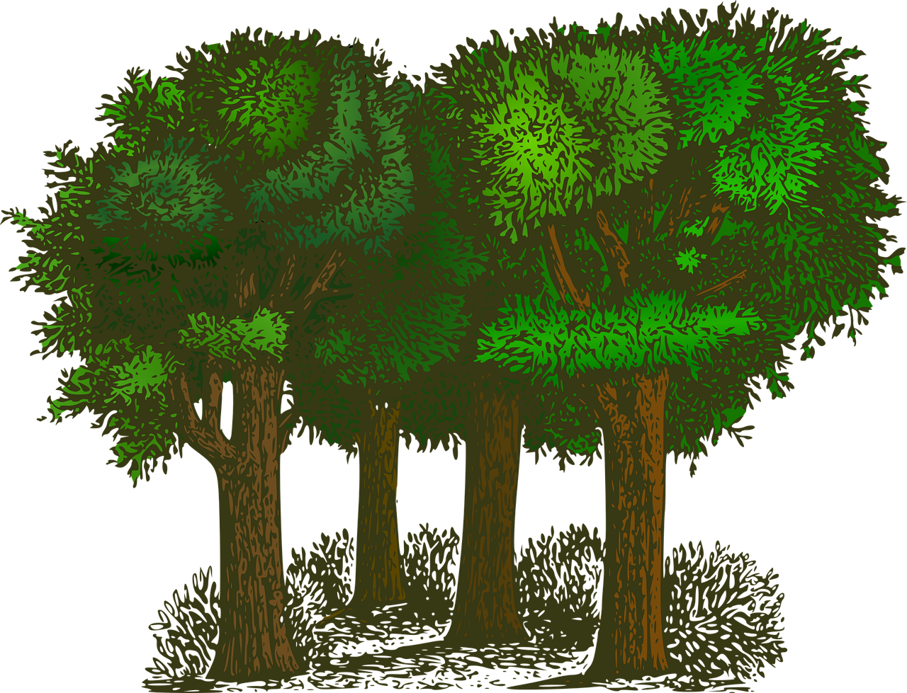d&eacute;couvrez les enjeux de l'&eacute;cologie, les solutions pour prot&eacute;ger notre plan&egrave;te et promouvoir un mode de vie durable.