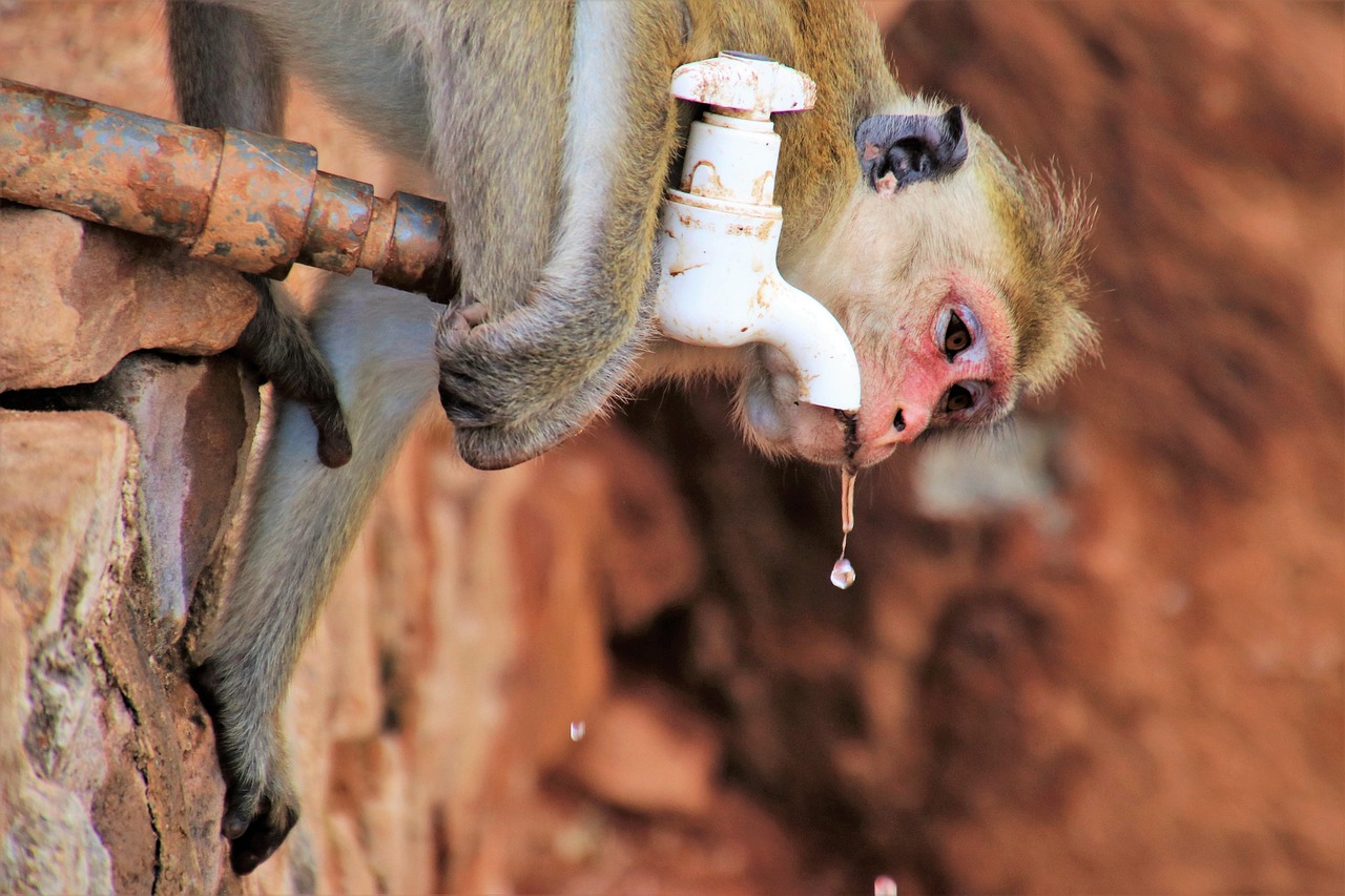 d&eacute;couvrez l'eau fossile, une ressource naturelle vieille de milliers d'ann&eacute;es, son origine, son importance et les enjeux li&eacute;s &agrave; son utilisation durable.