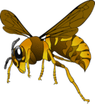 d&eacute;couvrez tout sur le hornet, un insecte fascinant reconnu pour son r&ocirc;le &eacute;cologique et son impact sur la biodiversit&eacute;.