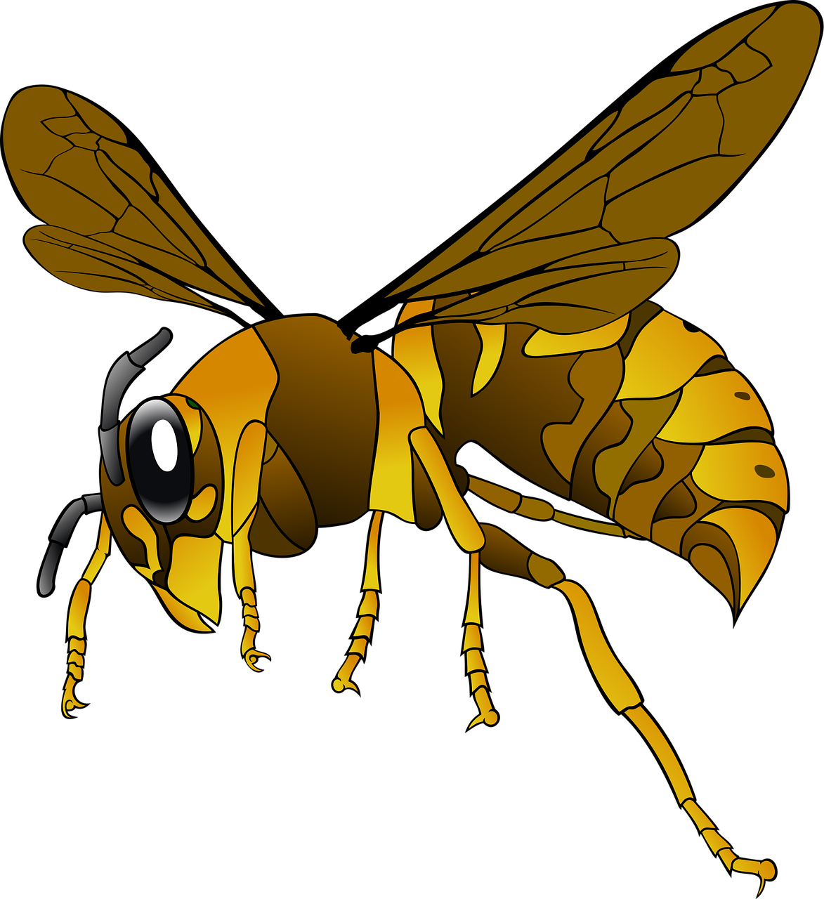 d&eacute;couvrez tout sur le hornet, un insecte fascinant reconnu pour son r&ocirc;le &eacute;cologique et son impact sur la biodiversit&eacute;.