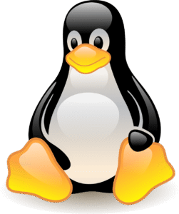 d&eacute;couvrez notre s&eacute;lection exclusive de mascottes personnalis&eacute;es pour dynamiser vos &eacute;v&eacute;nements, renforcer votre image de marque et captiver votre audience.