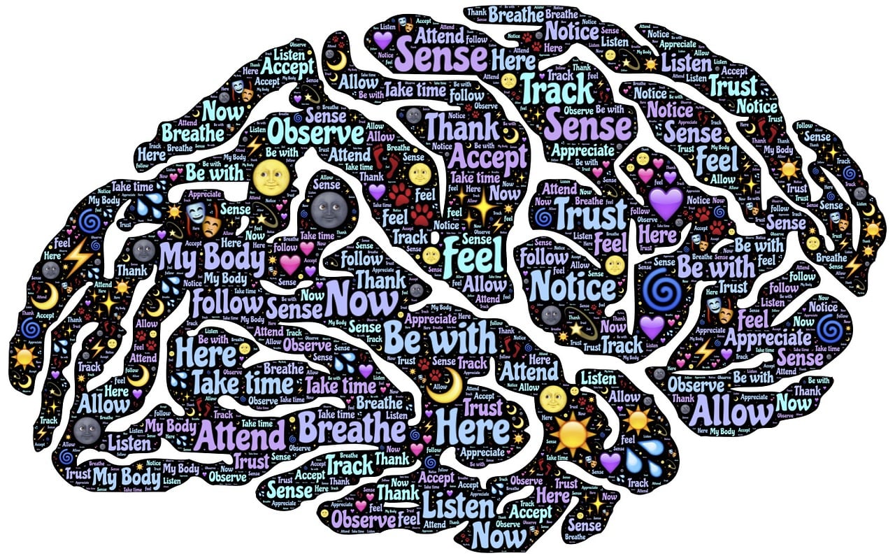 sensibilisation &agrave; la sant&eacute; mentale : comprendre, reconna&icirc;tre et soutenir le bien-&ecirc;tre psychologique pour une vie &eacute;quilibr&eacute;e et &eacute;panouie.