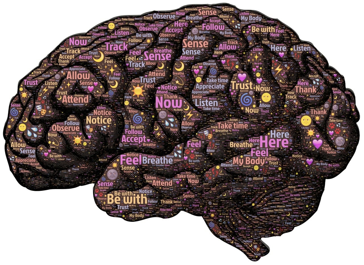 sensibilisation &agrave; la sant&eacute; mentale : d&eacute;couvrez l'importance de comprendre, de soutenir et de promouvoir le bien-&ecirc;tre mental pour une vie &eacute;quilibr&eacute;e et &eacute;panouie.