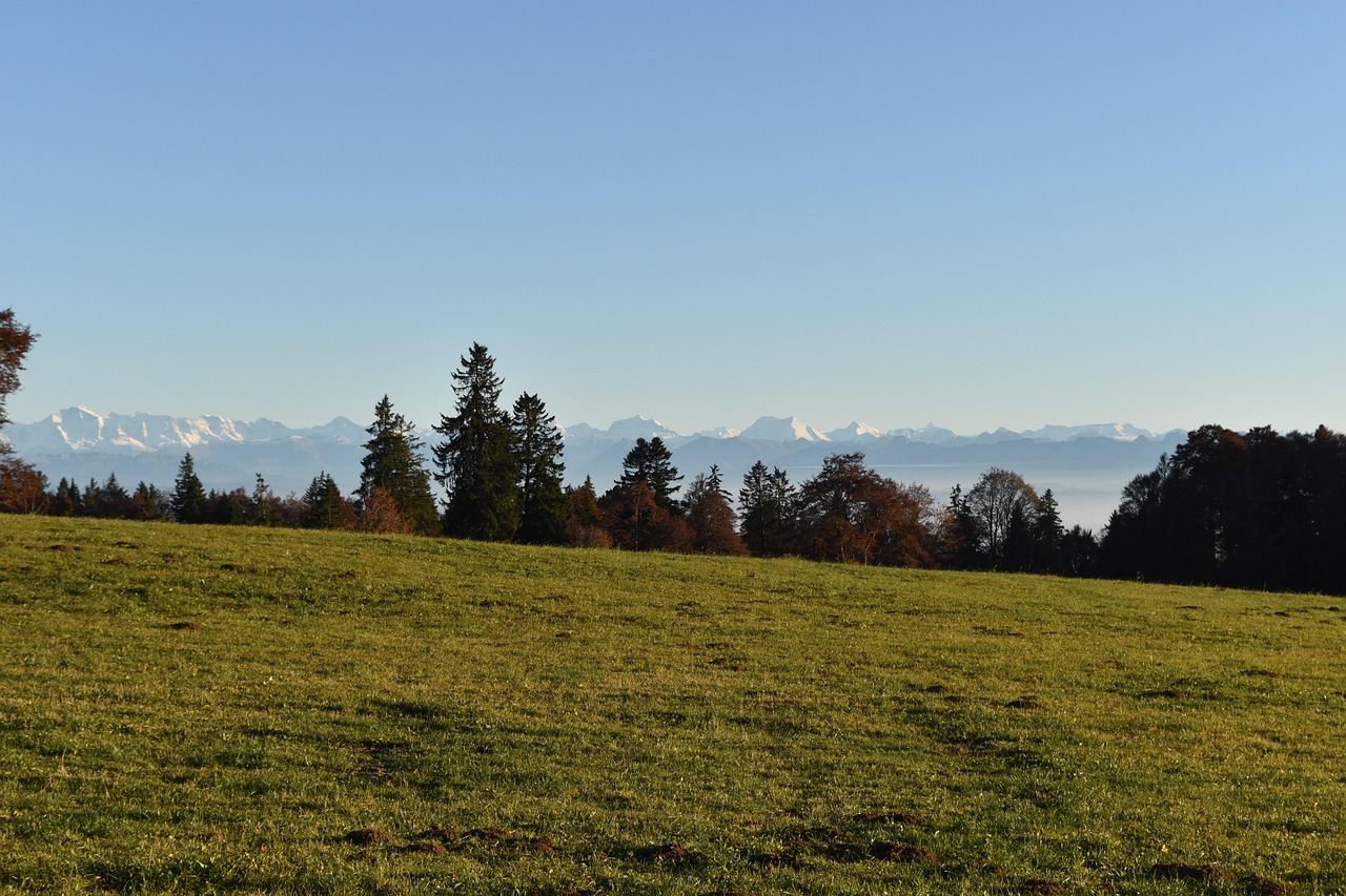 d&eacute;couvrez mountainous law, une plateforme sp&eacute;cialis&eacute;e dans le droit des zones montagneuses, offrant conseils juridiques et ressources pour prot&eacute;ger les environnements alpins et soutenir les communaut&eacute;s locales.