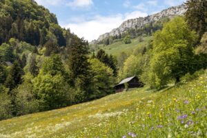 d&eacute;couvrez les principes juridiques li&eacute;s aux zones montagneuses et leur impact sur l'environnement, l'urbanisme et les activit&eacute;s &eacute;conomiques.