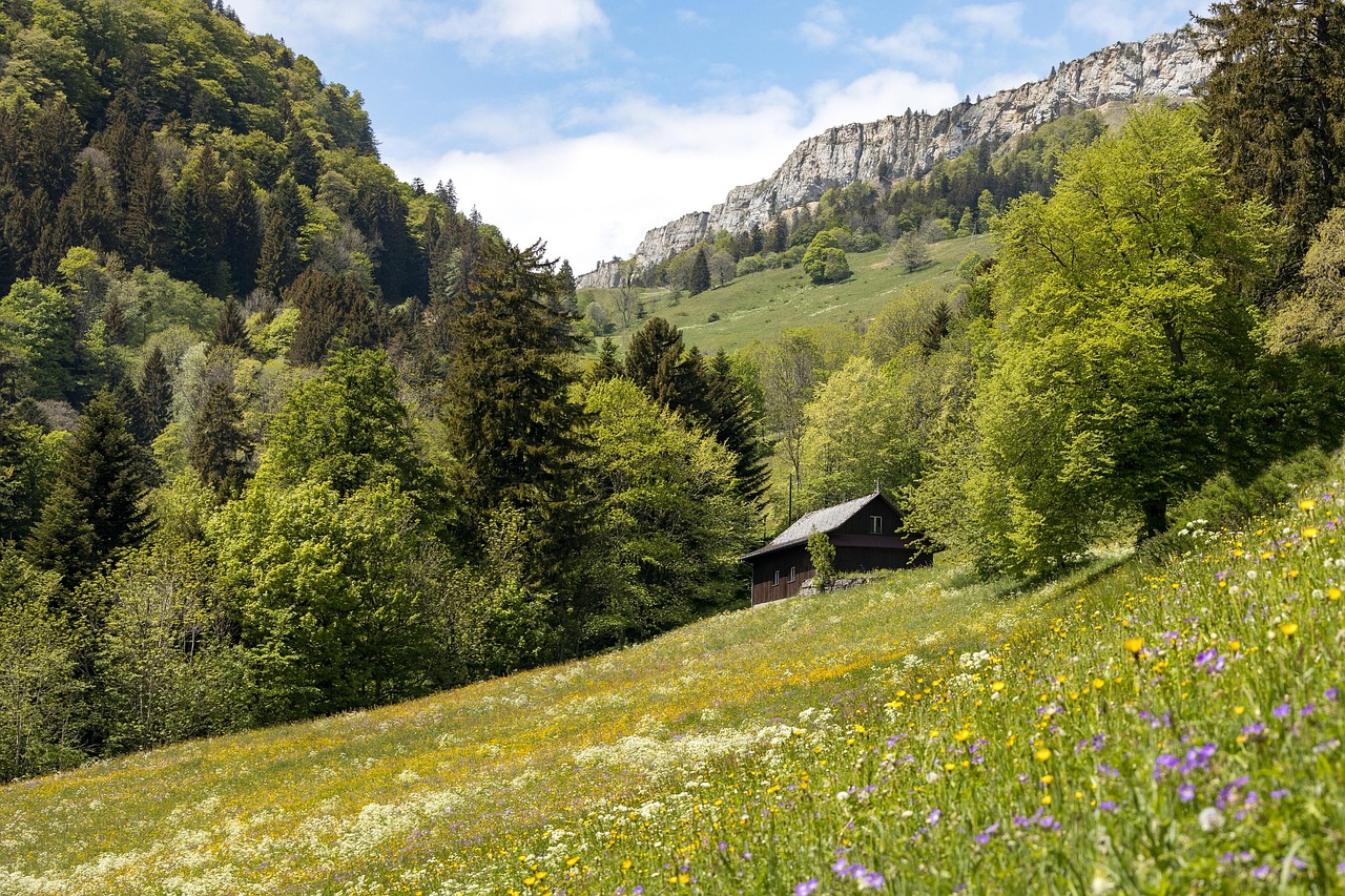 d&eacute;couvrez les principes juridiques li&eacute;s aux zones montagneuses et leur impact sur l'environnement, l'urbanisme et les activit&eacute;s &eacute;conomiques.
