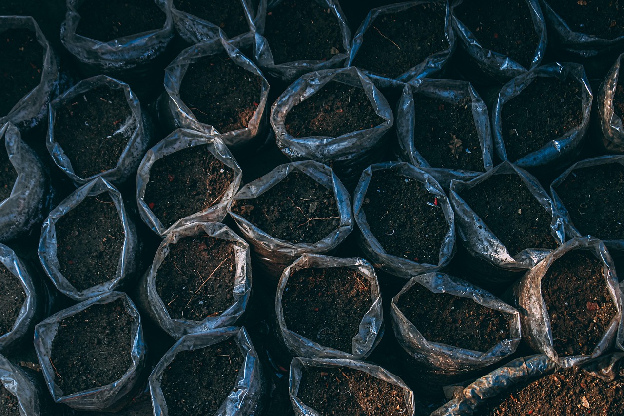 guide complet sur la plantation : conseils pratiques pour r&eacute;ussir la mise en terre de vos plantes et assurer leur croissance optimale.