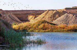 d&eacute;couvrez la renaturation, un processus essentiel pour restaurer les &eacute;cosyst&egrave;mes naturels, am&eacute;liorer la biodiversit&eacute; et favoriser un environnement durable.