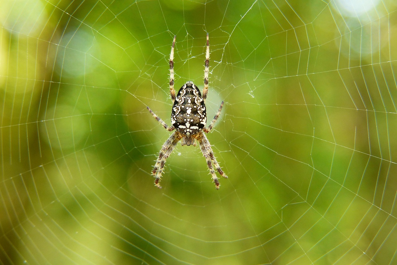 d&eacute;couvrez la douceur et l'&eacute;l&eacute;gance de la soie, un textile naturel pris&eacute; pour son confort et son allure raffin&eacute;e.