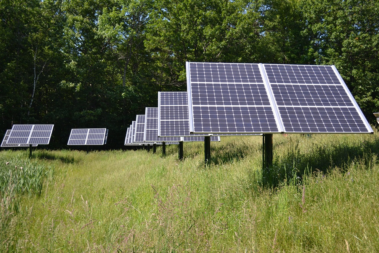 gestion durable des ressources : stratégies et pratiques pour préserver l'environnement tout en assurant un développement économique responsable.