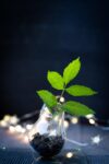 d&eacute;couvrez l'upcycling : donnez une seconde vie &agrave; vos objets en les transformant de mani&egrave;re cr&eacute;ative et &eacute;cologique, pour un mode de vie durable et responsable.
