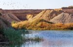 d&eacute;couvrez l'urban renaturation, une approche innovante pour r&eacute;int&eacute;grer la nature en milieu urbain, am&eacute;liorer la biodiversit&eacute; et cr&eacute;er des espaces de vie plus sains et durables.