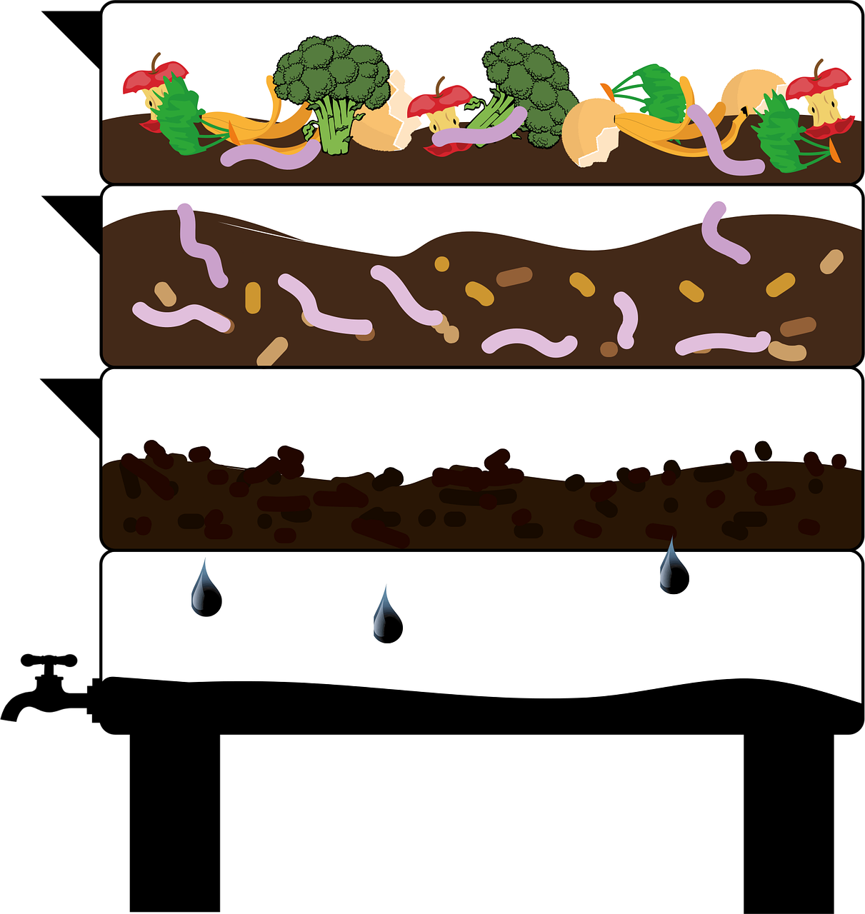 découvrez le vermicompostage, une méthode écologique de compostage avec des vers de terre pour enrichir naturellement votre sol et réduire vos déchets organiques.