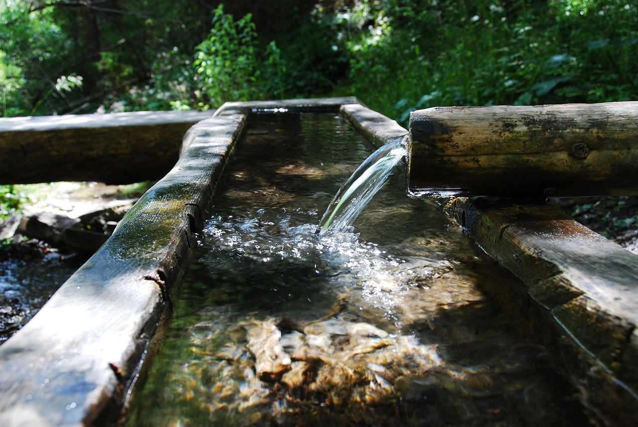 d&eacute;couvrez des strat&eacute;gies efficaces pour la gestion durable de l'eau, incluant la conservation, le traitement et l'optimisation des ressources hydriques.