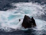 d&eacute;couvrez tout sur la tarification de l'eau : m&eacute;thodes, enjeux environnementaux et &eacute;conomiques, et impact sur les consommateurs.